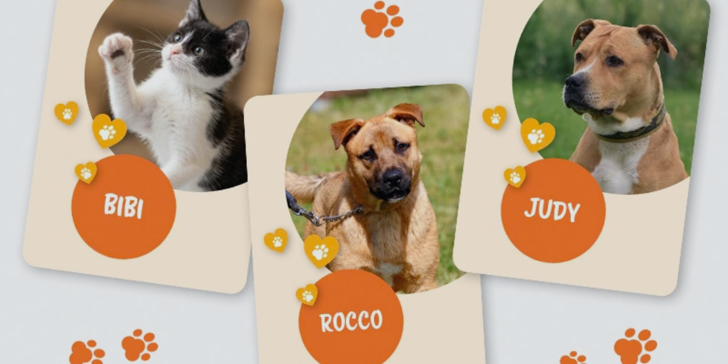 adopce globus