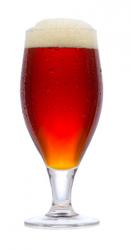 Test Dnes: Piva stylu IPA