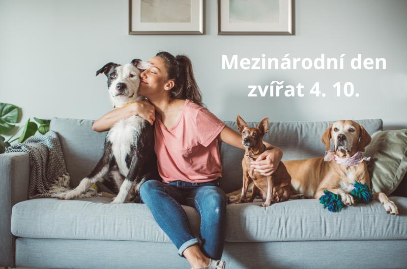 Blíží se Mezinárodní den zvířat: Oslava našich nejlepších přátel na planetě