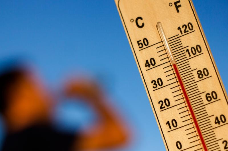 Léto 2025 bude peklo! Meteorologové už teď varují před rekordními vedry a suchem