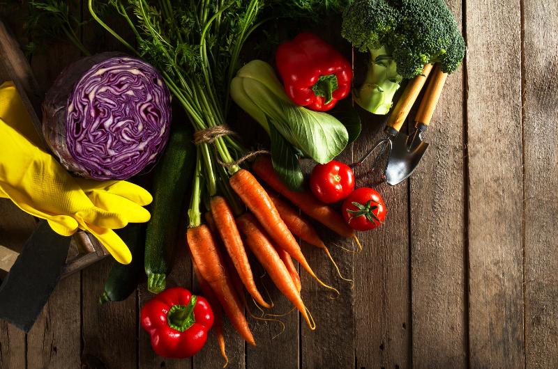 Překvapení z kuchyně: Tato „nesladká“ zelenina je sladká téměř jako jahoda. Už jste ji zkusili?