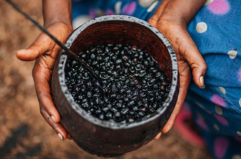 Nejzdravější ovoce světa? Češi na něj bohužel nedosáhnou, má ale skvělou náhradu