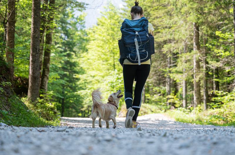 Znáte „barevnou procházku“? Psychologové ji doporučují na stres i úzkost