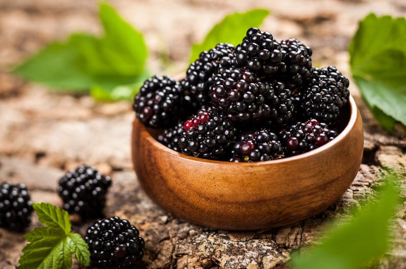 Toto nenápadné ovoce může prodloužit život. Lékaři tvrdí, že jde o největší „zdravotní jackpot“ pro srdce i střeva