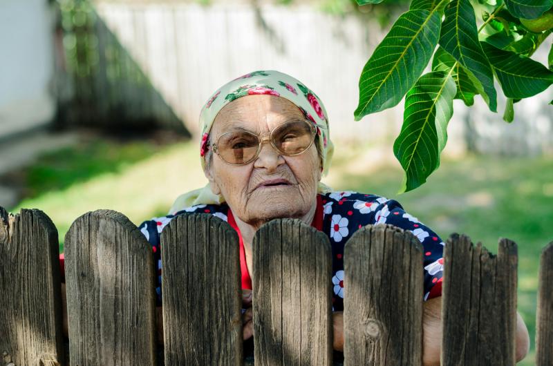Kontroly plotů začnou být přísnější. Jeden centimetr navíc a můžete bourat. 