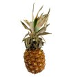 Ananas 1ks