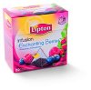 Lipton čaj ovocný pyramidový 20 sáčků, vybrané druhy