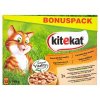Kitekat ve šťávě kompletní krmivo pro dospělé kočky 12 x 100g, vybrané druhy
