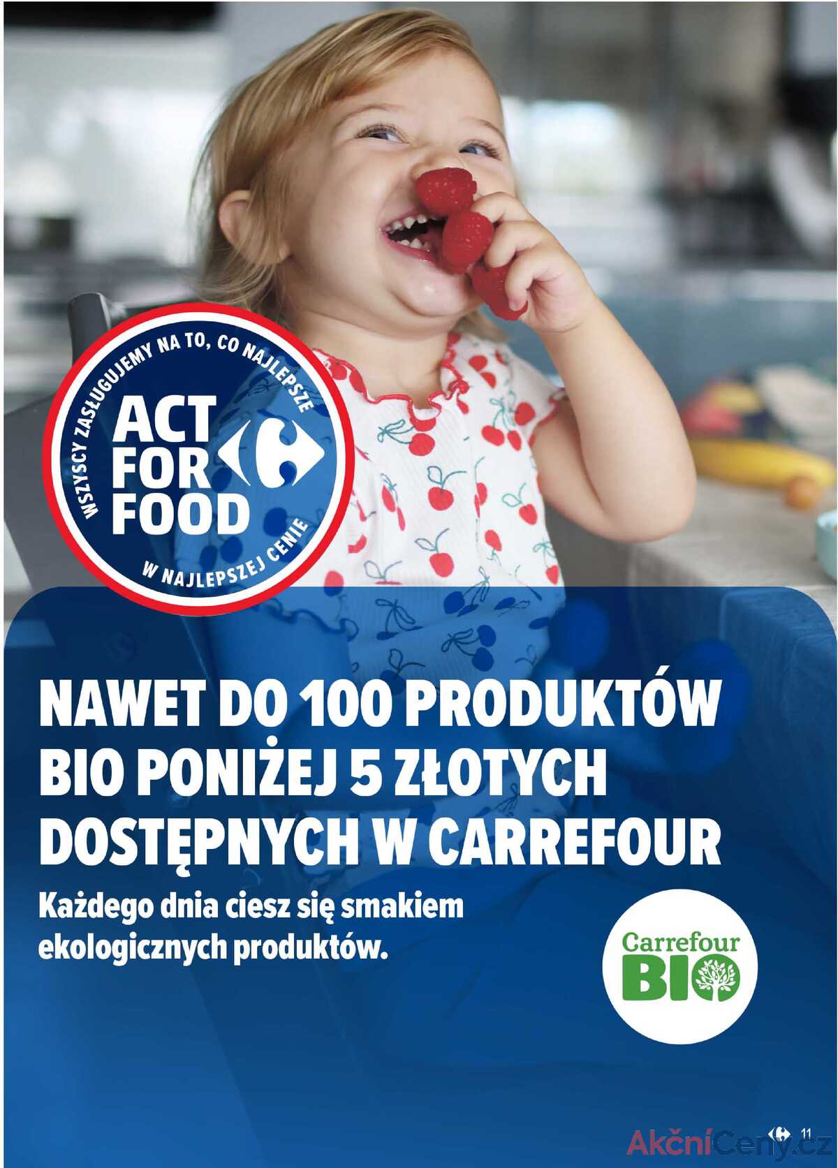 Leták Carrefour Polska strana 11/31