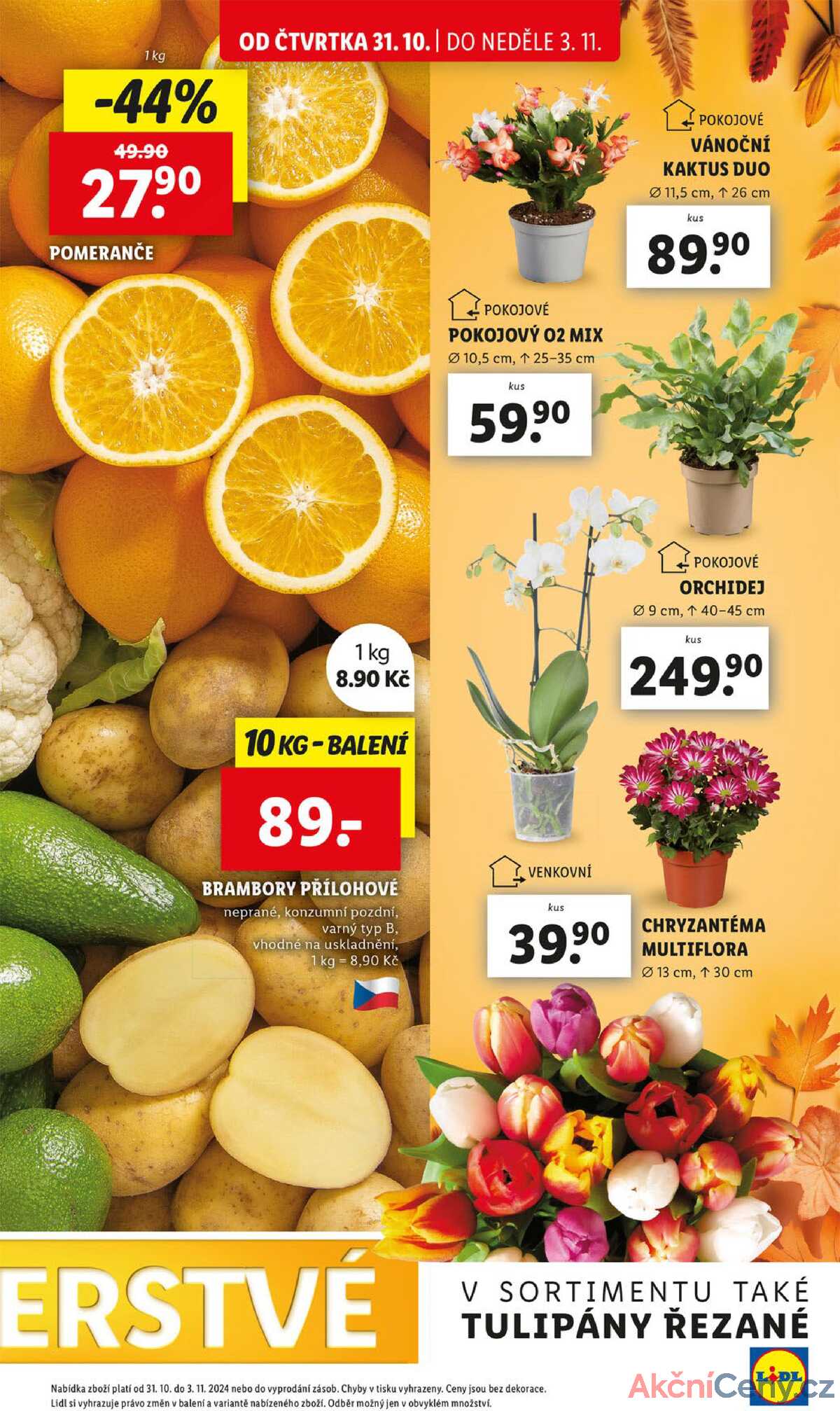 Leták Lidl strana 13/51