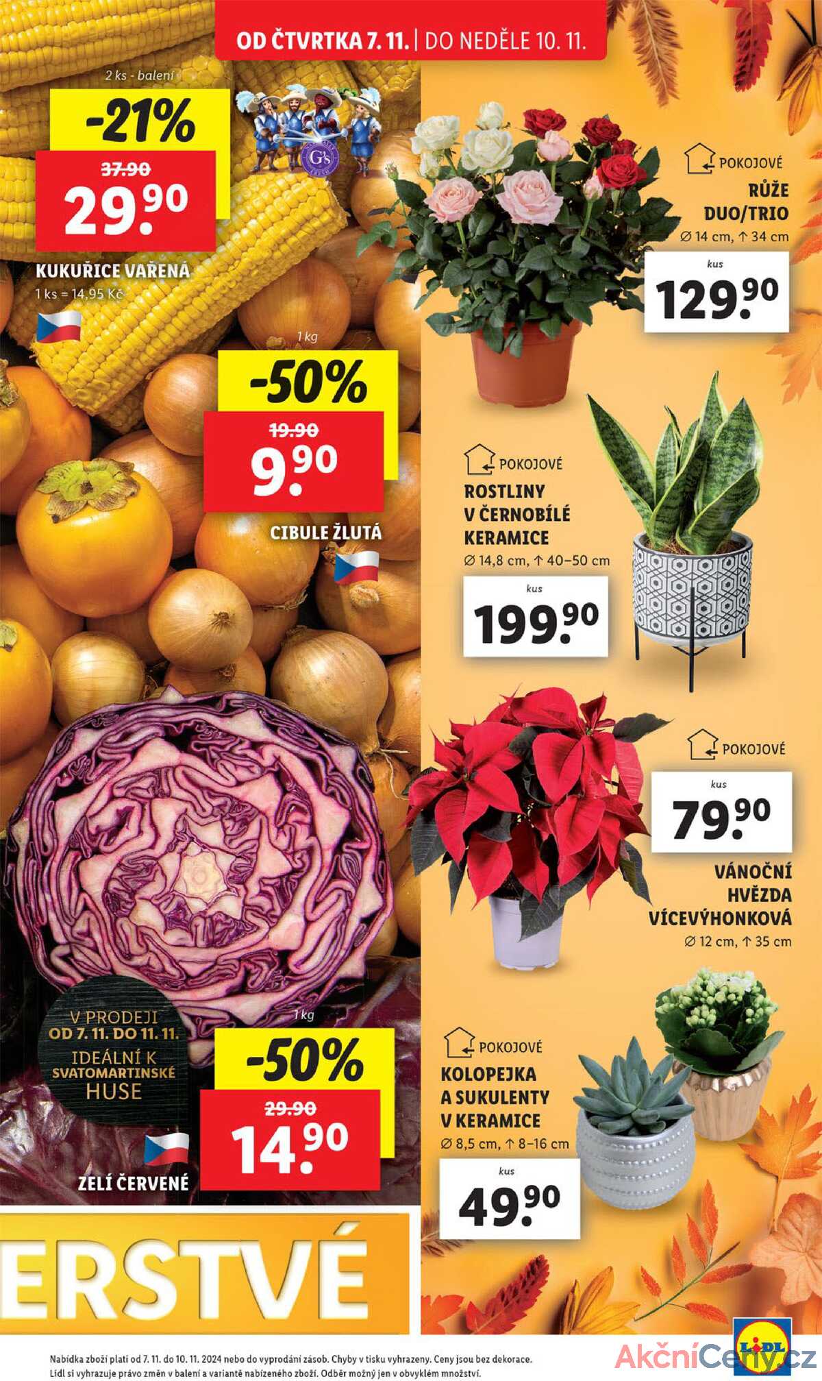 Leták Lidl strana 13/61