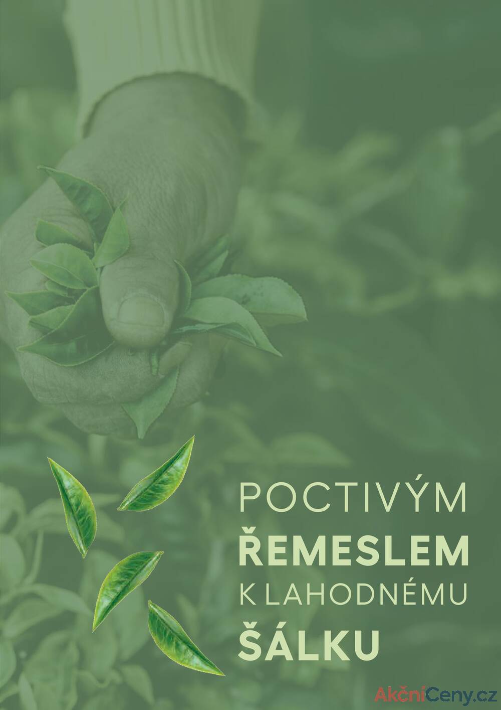 Leták Oxalis - čaj a káva
		  platný do 31.12.2025 - strana 107