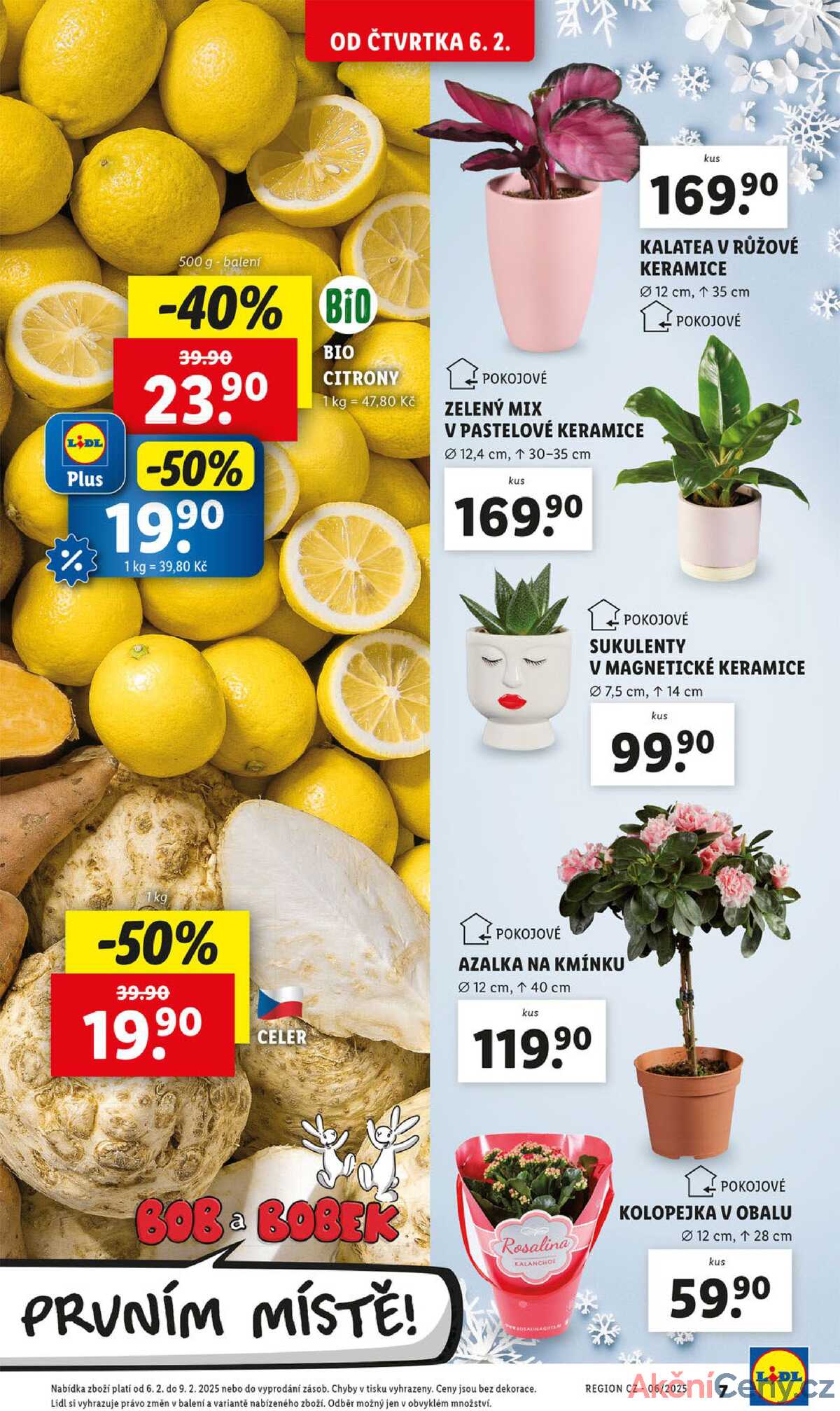 Leták Lidl strana 7/31