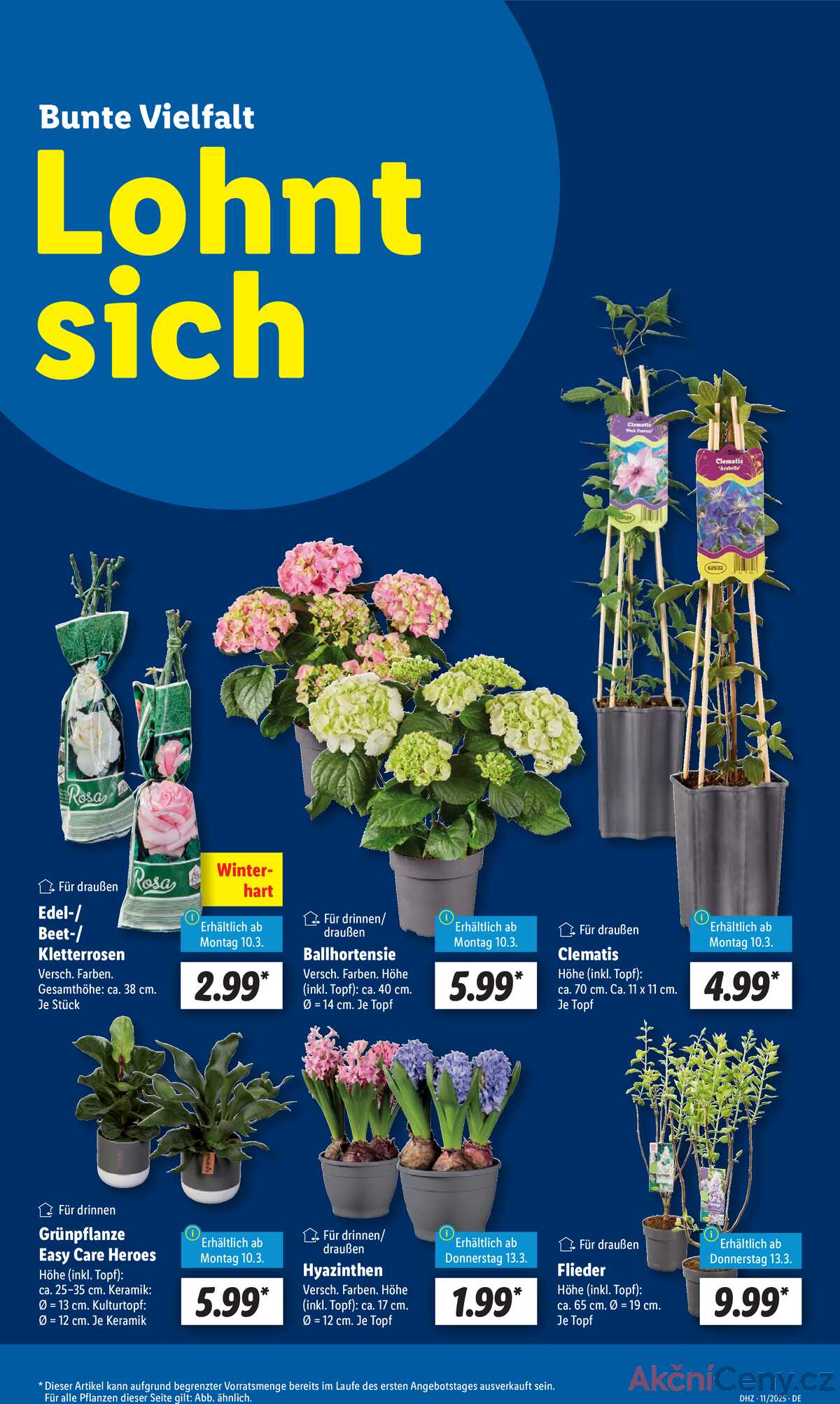 Leták Lidl Deutschland strana 11/62