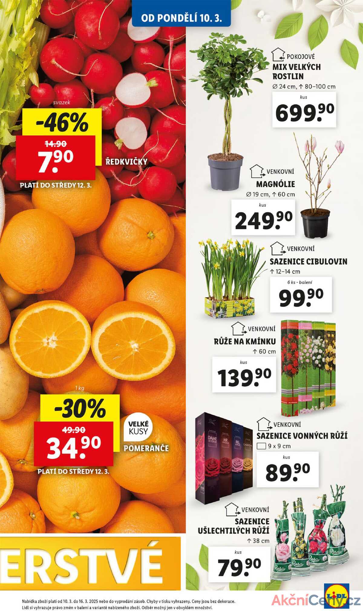 Leták Lidl strana 13/49