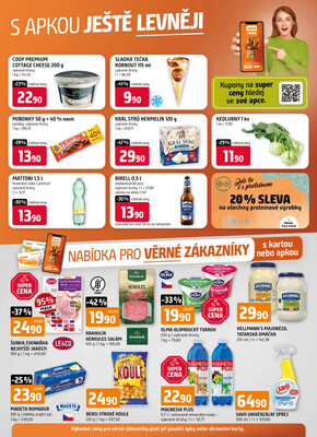 Terno České Budějovice, Hradec Králové, Olomouc, Třeboň, Trhové sviny, Bechyně, Týn nad Vltavou od 28.5. do 3.6.2025