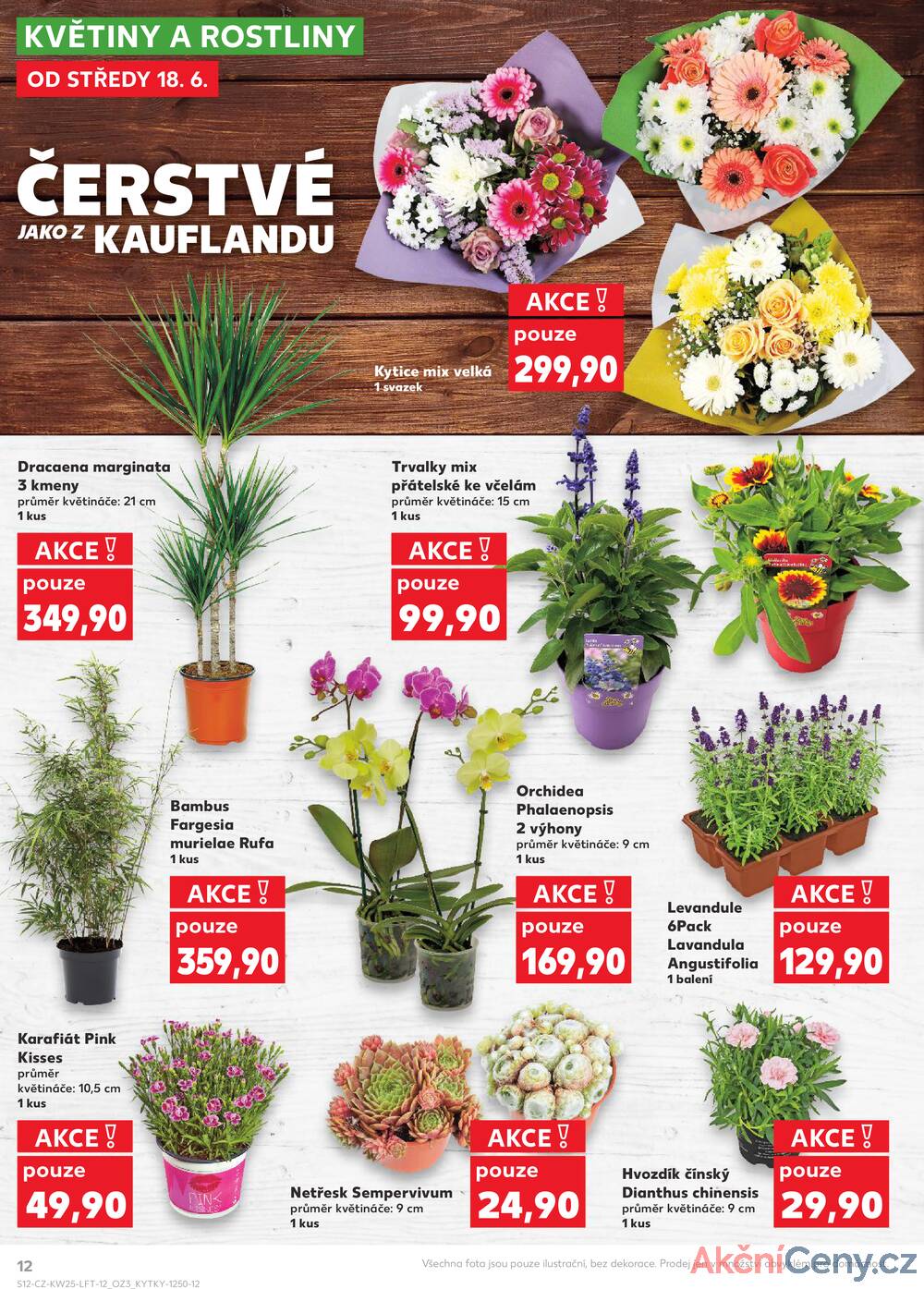 Leták Kaufland - Kaufland 18.6. - 24.6. - Kaufland - Rokycany - strana 12