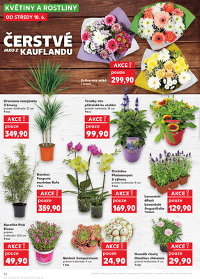 Kaufland 18.6. - 24.6. - Kaufland - Lovosice (Siřejovická)