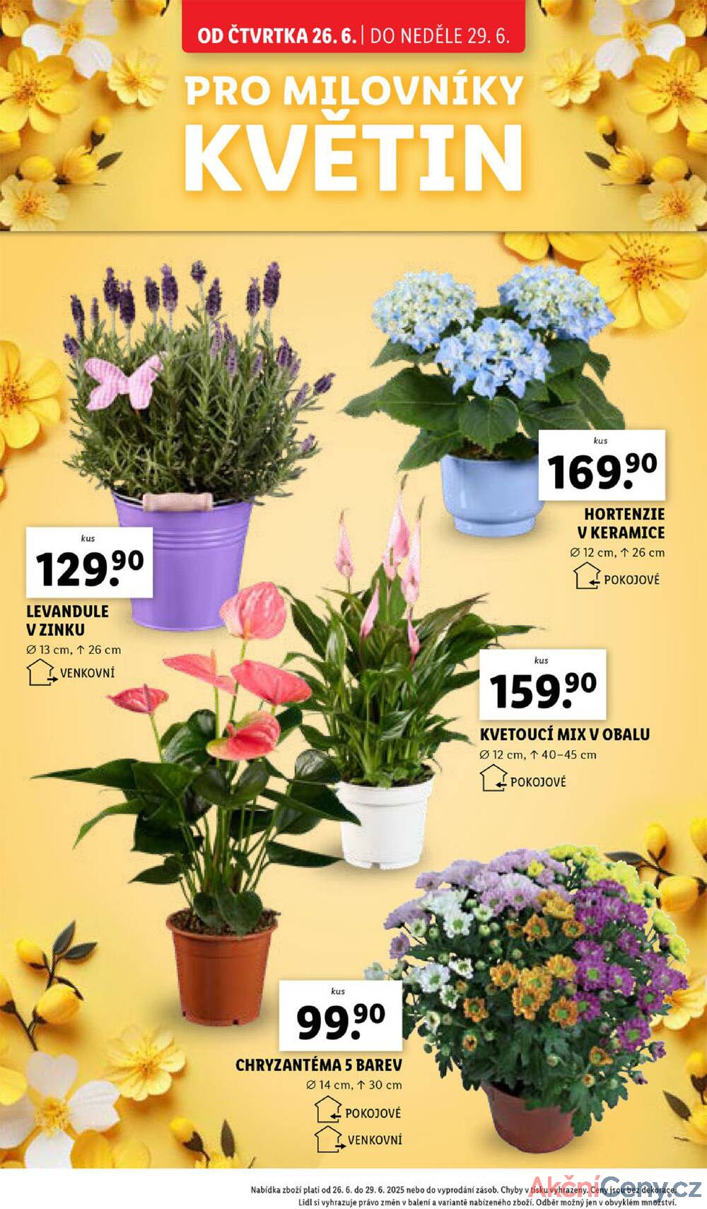 Leták Lidl - Lidl Čtvrtek od 26.6. do 29.6.2025 - strana 30 Leták Lidl - Lidl Čtvrtek od 26.6. do 29.6.2025 - strana 30