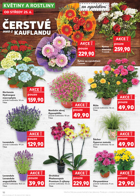 Kaufland 25.6. - 1.7. - Kaufland - Znojmo (Dukelských bojovníků)