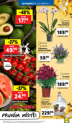 Lidl od 7.7. do 13.7.2025