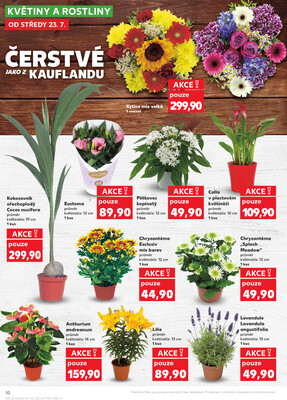 Kaufland 23.7. - 29.7. - Kaufland - Hradec Králové