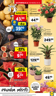 Lidl Čtvrtek od 21.8. do 24.8.2025