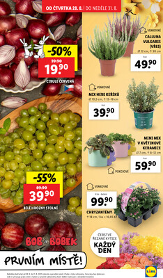 Lidl Čtvrtek od 28.8. do 31.8.2025