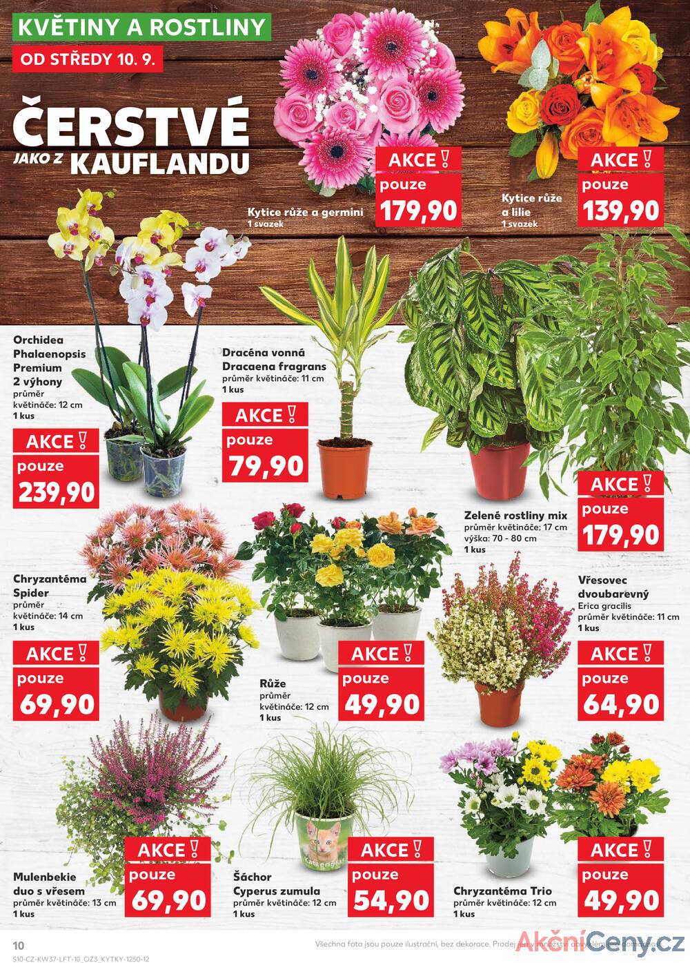 Leták Kaufland - Kaufland 10.9. - 16.9. - Kaufland - Praha 12 (Modřany) - strana 10