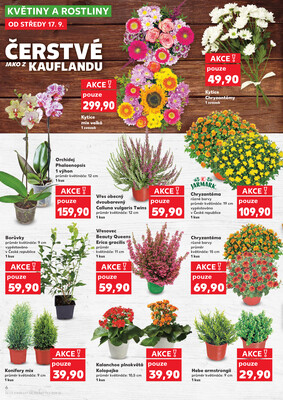 Kaufland 17.9. - 23.9. - Kaufland - Ostrava - Poruba