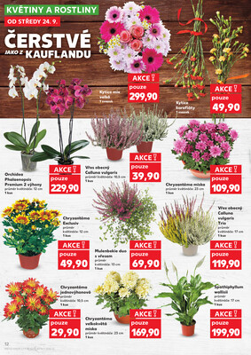 Kaufland 24.9. - 30.9. - Kaufland - Přerov Lýsky