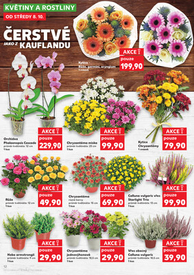 Kaufland 8.10. - 14.10. - Kaufland - Ostrava - Poruba