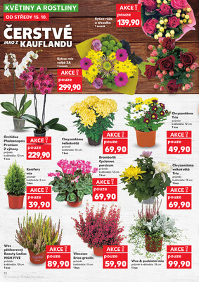 Kaufland 15.10. - 21.10. - Kaufland - Příbram