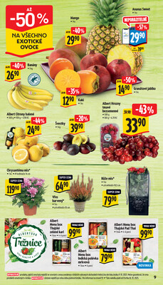 Albert Supermarket od 15.10. do 21.10.2025