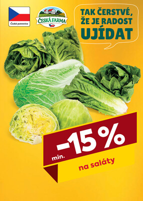 Billa  od 15.10. do 21.10.2025
