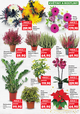 Kaufland 28.10. - 4.11. - Kaufland - Kuřim