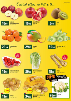 Terno České Budějovice, Třeboň, Trhové sviny, Bechyně, Týn nad Vltavou od 26.11. do 2.12.2025