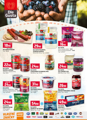 Terno České Budějovice, Třeboň, Trhové sviny, Bechyně, Týn nad Vltavou od 26.11. do 2.12.2025