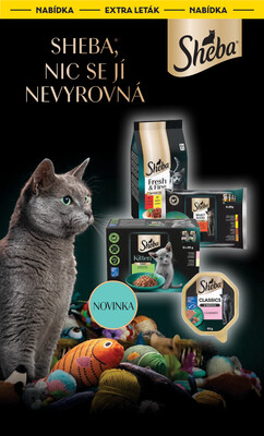 Albert  Hypermarket od 10.12. do 16.12.2025