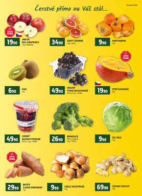 Terno České Budějovice, Olomouc, Hradec Králové, Třeboň, Trhové sviny, Bechyně, Týn nad Vltavou, Borovany od 2.1. do 6.1.2026