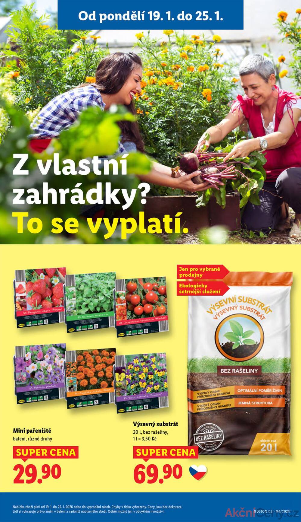 Leták Lidl - Lidl od 19.1. do 21.1.2026 - strana 31