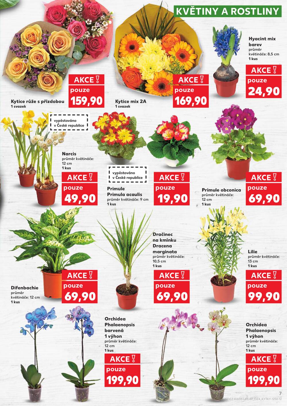 Kaufland 18.2. - 24.2. - Kaufland - Otrokovice