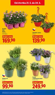 Lidl Čtvrtek od 21.5. do 24.5.2026