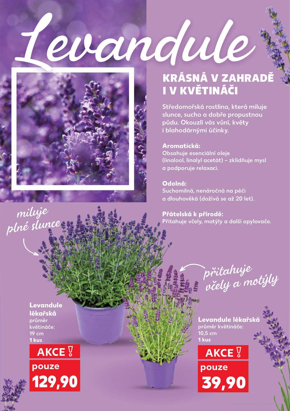 Kaufland 3.6. - 9.6. - Kaufland České Budějovice II - Milady Horákové