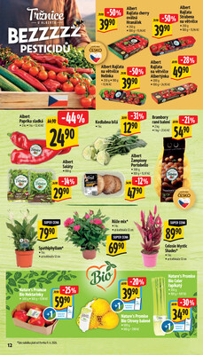 Albert  Hypermarket od 10.6. do 16.6.2026