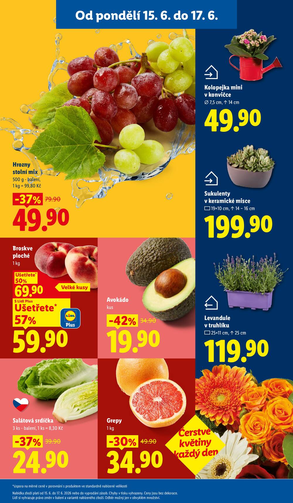 Leták Lidl - Lidl od 15.6. do 17.6.2026 - strana 11 Leták Lidl - Lidl od 15.6. do 17.6.2026 - strana 11