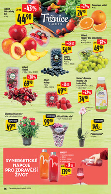 Albert Supermarket od 17.6. do 23.6.2026
