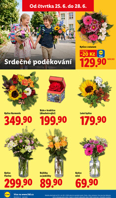 Lidl Čtvrtek od 25.6. do 28.6.2026