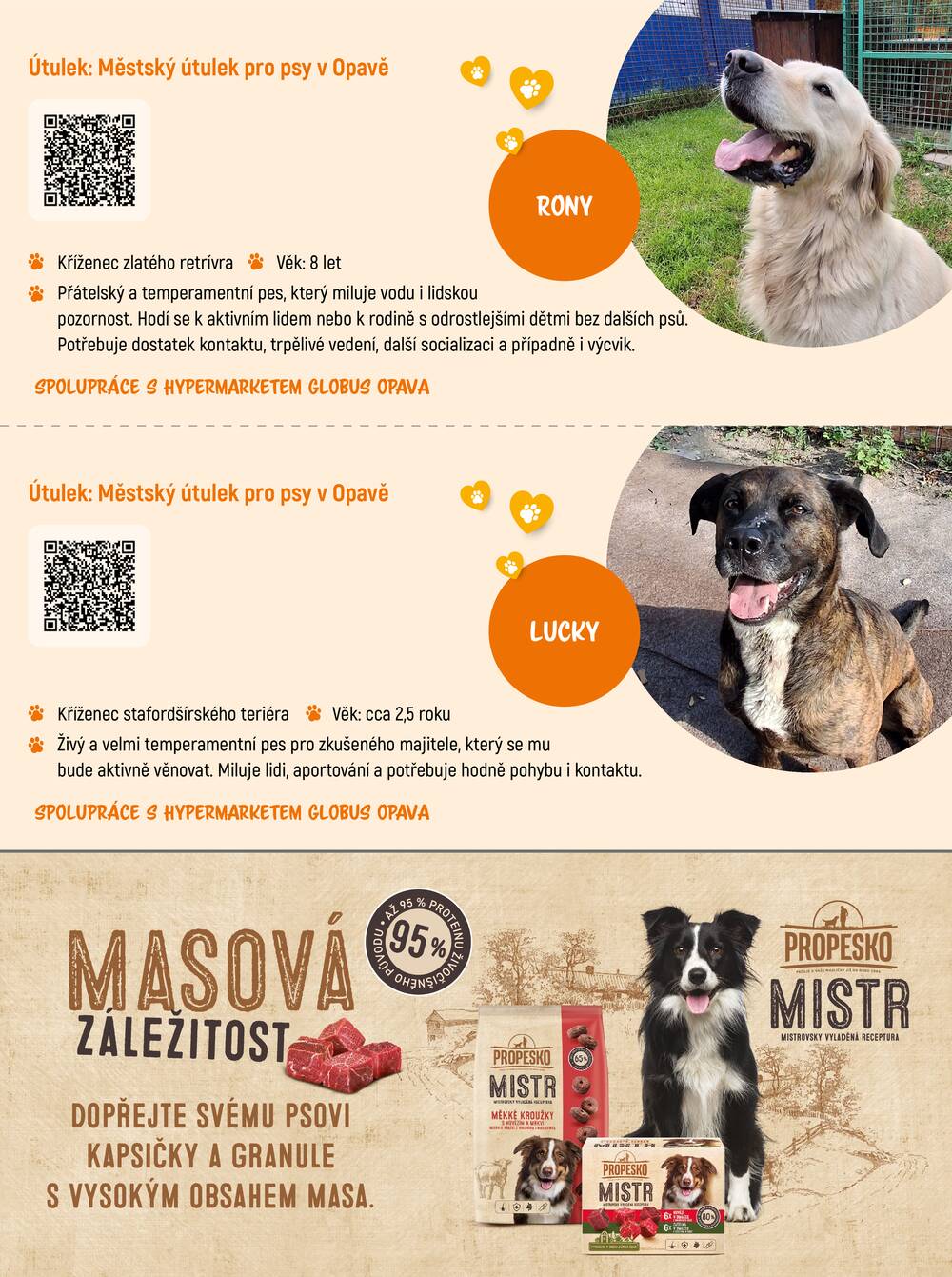 Leták Globus - Akční leták Globus 7.9. - 31.10.2026 - Globus Opava - strana 9