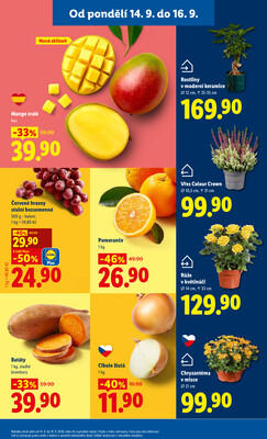 Lidl od 14.9. do 16.9.2026